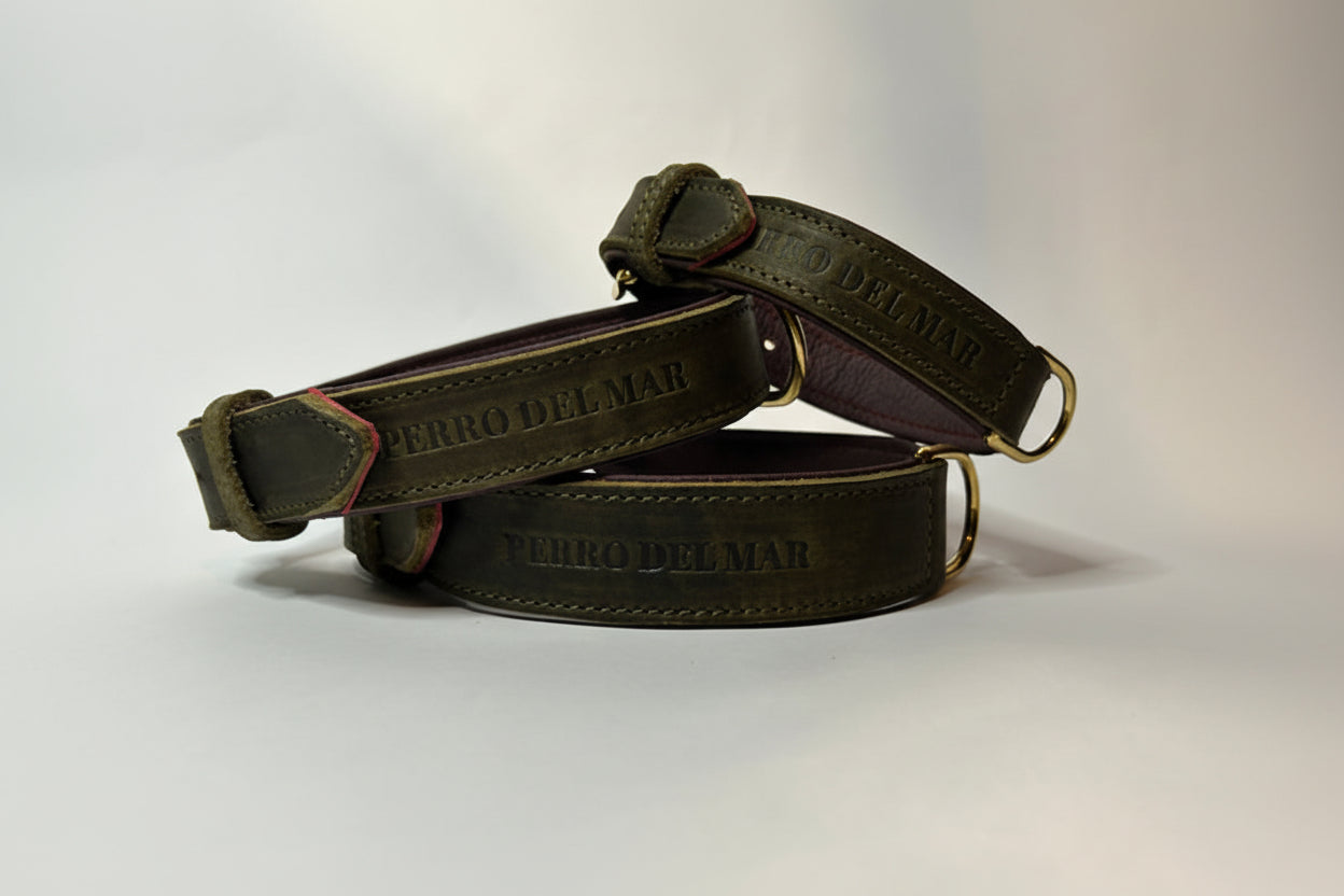 Luxury Green Leather Dog Collar