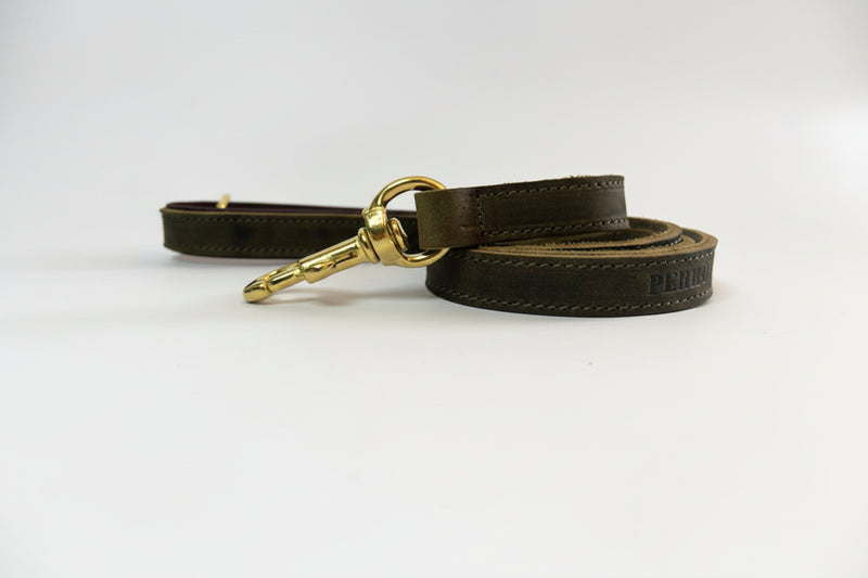 Luxury Green Leather Lead