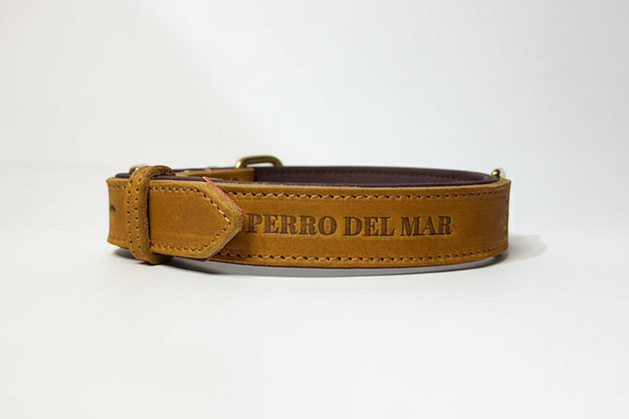 Brown leather dog collar with 'Perro Del Mar' engraving on a white background