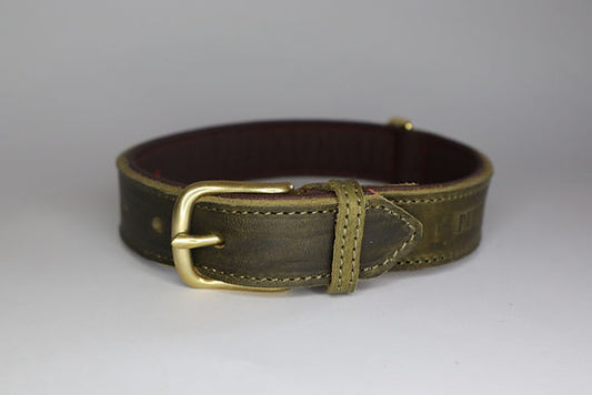 Luxury Green Leather Dog Collar
