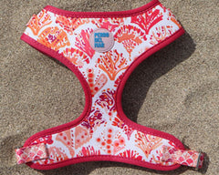 Fornells Harness