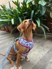 Son Bou Harness