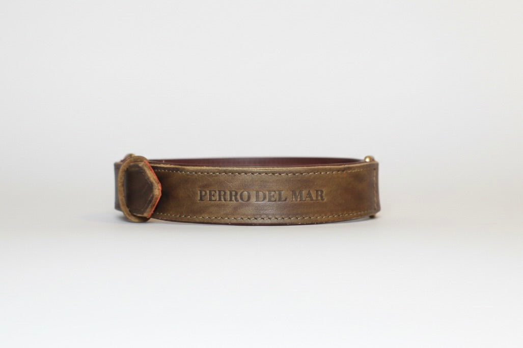 Green leather dog collar with 'Perro Del Mar' engraving on a white background